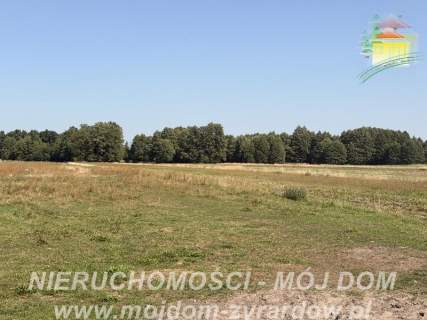 Duża działka w spokojnej i zielonej okolicy 