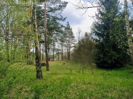 Aleksandrów, 1386 m2, wolnostojący