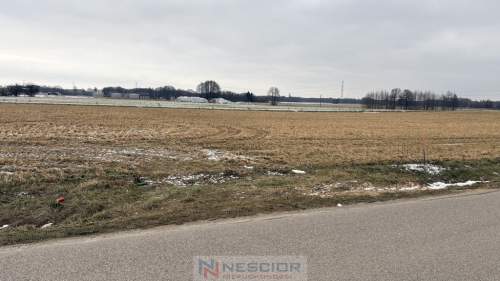 Działka budowlana z WZ ul. Ogrodowa, Wiśniew