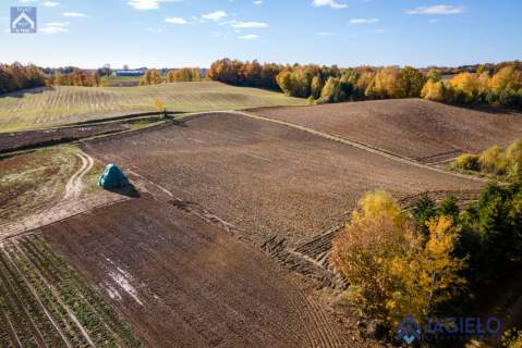 Działka siedliskowa na sprzedaż, 3000 m2, Borzestowo