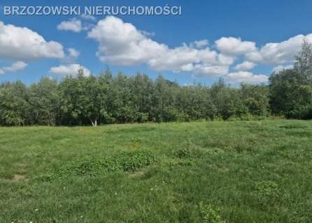 Żółwin, 1420 m2, MPZP, mieszkaniowa