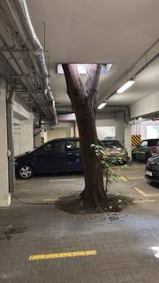 BEZPOŚREDNIO nowe, CICHE ścisłe centrum, miejsce w garażu,