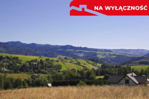 Działka z WZ 5291 m2 widok na Pieniny