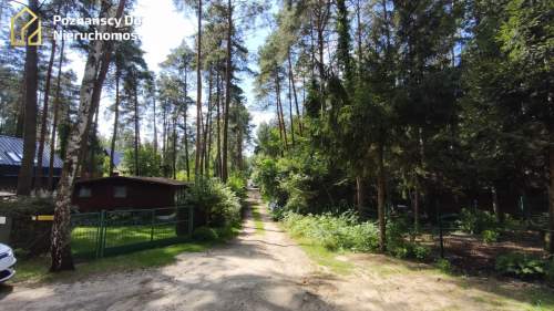 Urokliwa Działka przy ścianie Lasu w Kamińsku