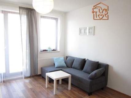 Kawalerka z mp, pet-friendly-Lawendowe Wzgórze 6A