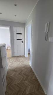 3-pokojowe mieszkanie, 48m2, Wrocław, ul.Braniborska