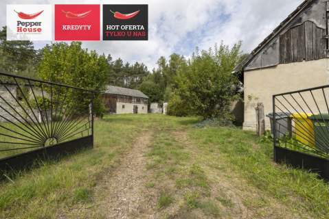 Siedlisko w Zimnych Zdrojach,blisko rzeka Wda, las