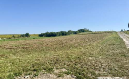 Pawęzów - działka 9,33 ar, WZ, zielona okolica, kilka km od Ta
