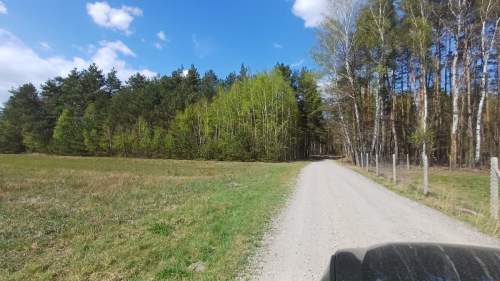 Działki budowlane pod lasem gmina Warka , Borowe