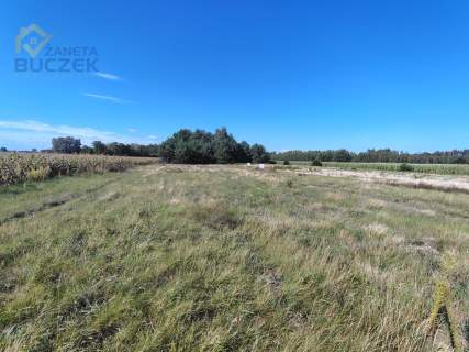 Atrakcyjna działka 1450 m z MPZP Dachowa