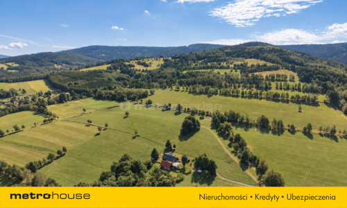 Siedlisko w Izerach - Krobica/Kotlina k.Świeradowa