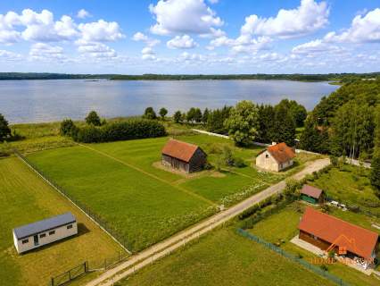 Linia brzegowa Jeziora Ewingi