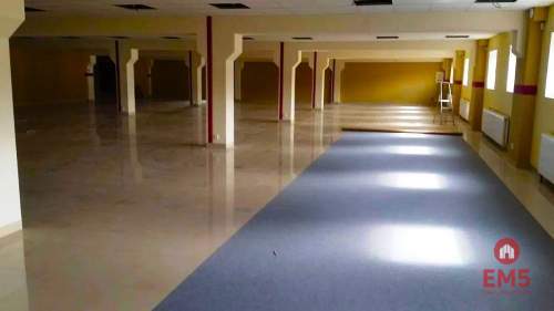 Lokal użytkowy 580 m2