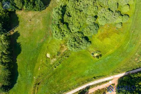 Działka siedliskowa na sprzedaż, 15600 m2, Chmielno