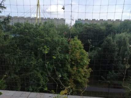 Ustawność tego mieszkania ma spory potencjał.
