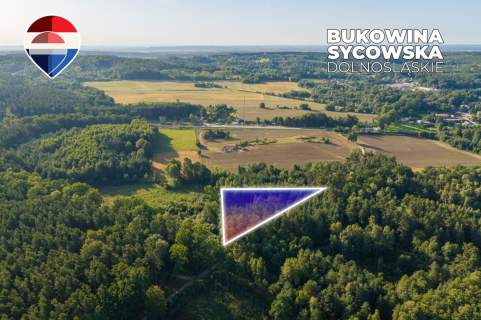 Działka leśna pow. 29.600 m , Bukowina Sycowska