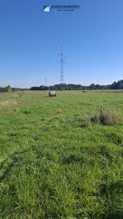 działki 12ar Jędrzychów gm. Polkowice