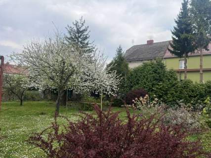 Dom na sprzedaż, 124 m2, Brzeg