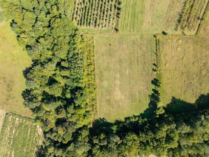 Działka rolno-leśna, 1,56 ha, Sadek, Jodłownik