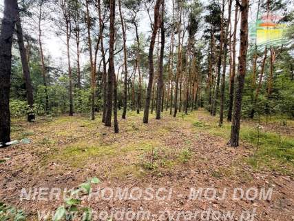 Działka z potencjałem inwestycyjnym 
