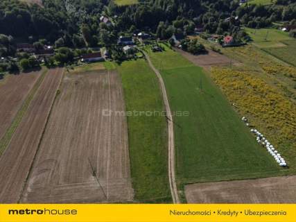 Dom wolnostojący, po remoncie, ogród marzeń