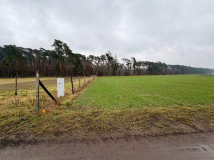 Działka 2162 m pod dom przy lesie WZ