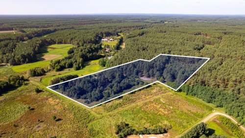 Teren 3,5ha w sercu Puszczy Noteckiej Prywatny las