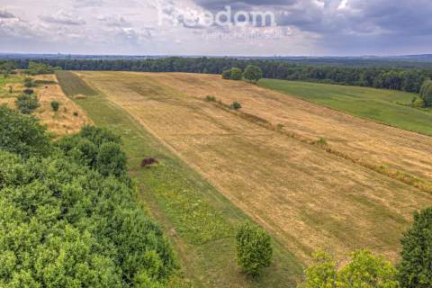 Działka rolna 1,7 ha