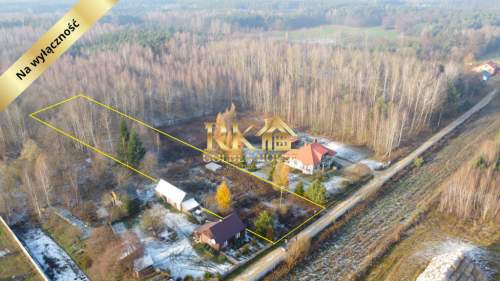 Działka rolna- budowlana 3000m2 Gołąbek gm Skórzec