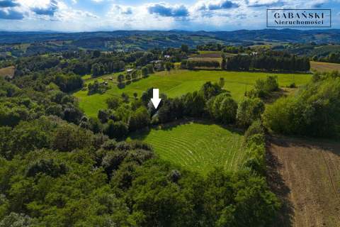 DREWNIANY DOM PO GRUNTOWNYM REMONCIE NA 1,35 HA -