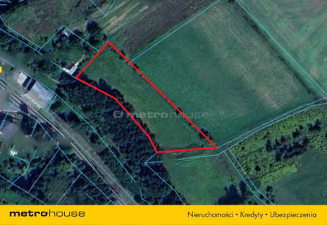 Działka zagrodowa 4000m2 w Sędziszowie