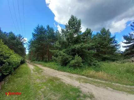 Sąsieczno działka budowlana 1069 m2 spokojna okolica z lasem