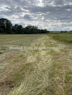 Działka inwestycyjna na sprzedaż, 12600 m2, Międzyrzecze Dolne