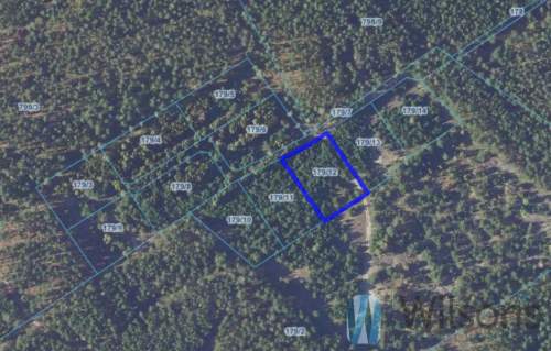 Działka rolna 3010 m2 / Opaleniec / Chorzele