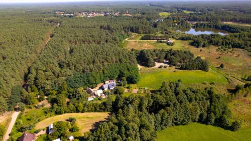 Teren 3,5ha w sercu Puszczy Noteckiej Prywatny las