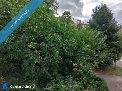 Plac Grunwaldzki ul. Reja 8 , 2-pokojowe, rozkładowe, 42m2, idealne...