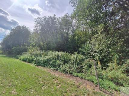 Działka budowlana 19,65a/ul. Grochowska/MPZP