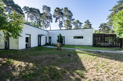 Oryginalny parterowy dom w Kolumnie