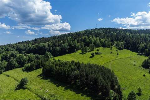 Widokowa działka w sąsiedztwie Zawoji
