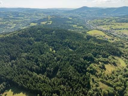 Działka leśna 20 700 m Kasina Wielka