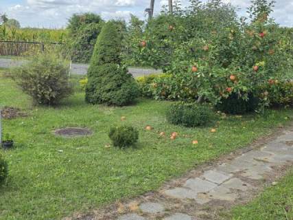 Piekny domek 64 m2 na sprzedaż lub zamianę na mieszkanie w Koninie