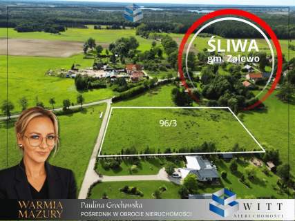 Działka budowlana na sprzedaż, 8900 m2, Śliwa