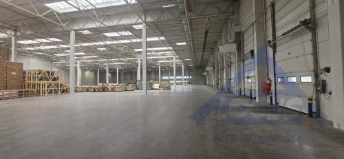 Magazyn Podnajem od 2000 do 5000 m2