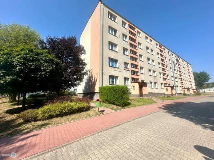 2 pokojowe mieszkanie, z balkonem, Sitkówka-Nowiny