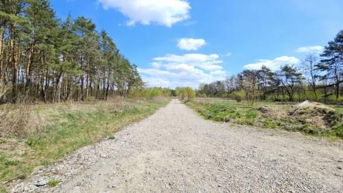 Działka wśród lasu Cisza, natura, MPZP Żółwin