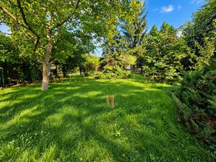 2800m2 sad i ogród, dom budynki Kowalewo