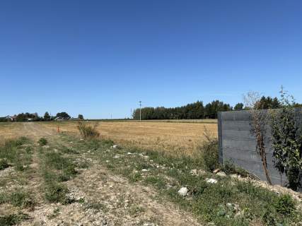 Ostatnia działka z wydanymi WZ, Kolonia Przeździatka