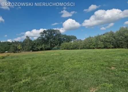 Żółwin, 1420 m2, MPZP, mieszkaniowa