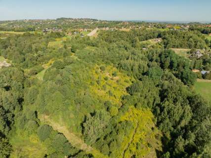 Włosań, działka rolna, 49 arów