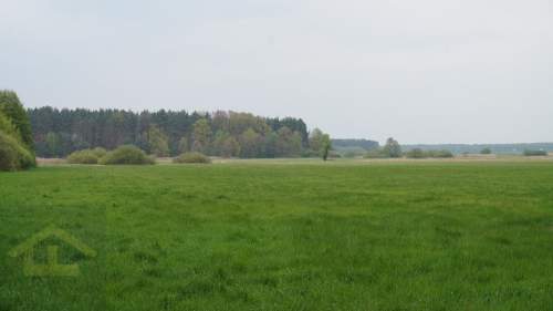Nieruchomość w Całowaniu
